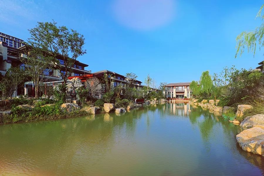 go房网镜头纪实:寻找盐城"最美楼盘"之荷塘月色