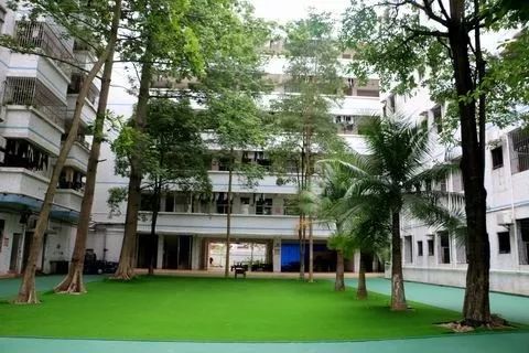 名校专栏中山市桂山君里学校
