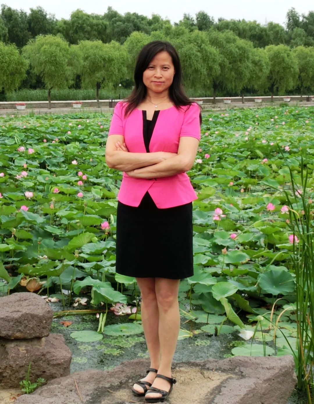 首批创造的教育示范课堂展示t细胞如何识别自我和非我