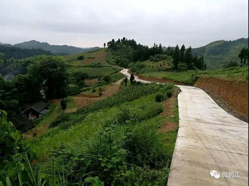 和平乡脱贫攻坚成果丰富