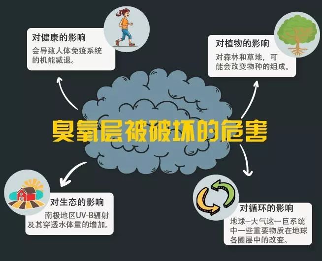 此外,臭氧层遭到破坏还会损害人的免疫功能,使患白内障等疾病的人数