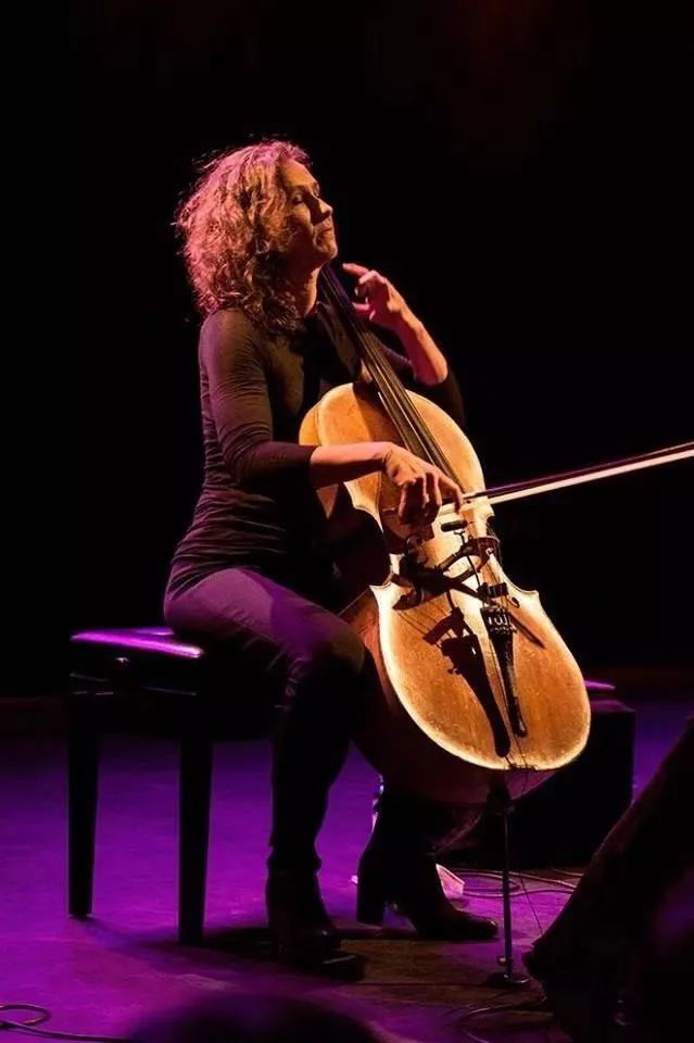 clavelive欧洲顶级手风琴大提琴演奏家klauspaierasjavalcic古典跨界