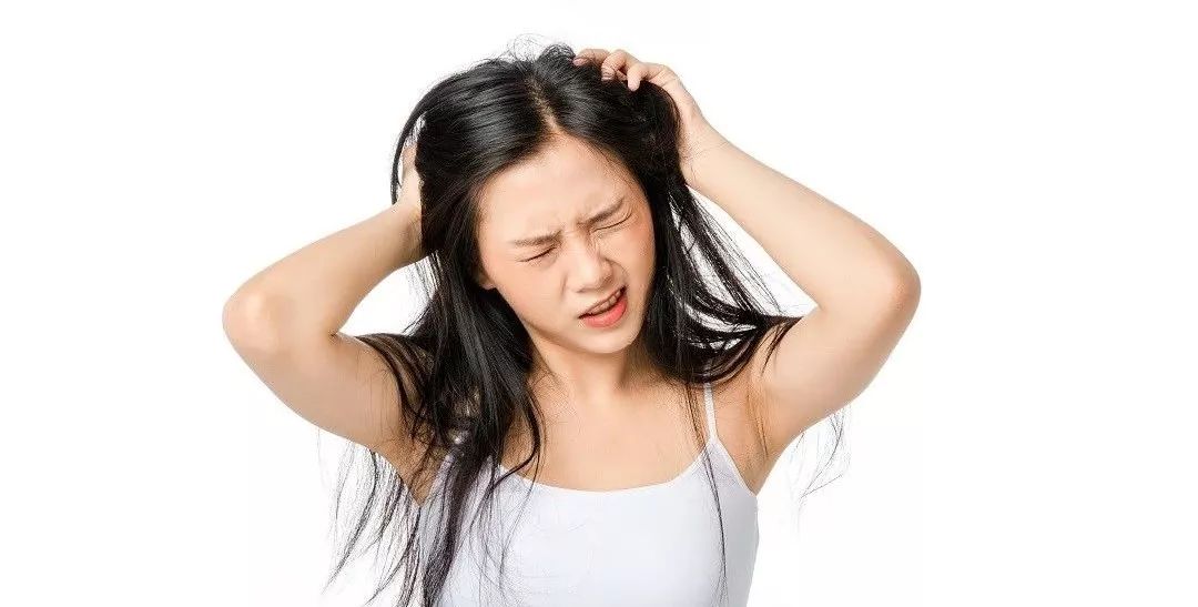什么女性也会面临变秃的烦恼脱发的原因竟和它们有关