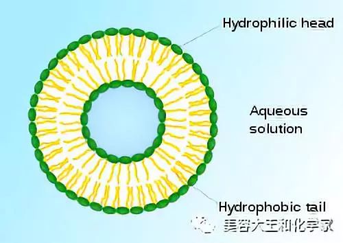微脂囊,是一个脂质体所构成的非常微小的球体,因为脂质的特性,它聚集
