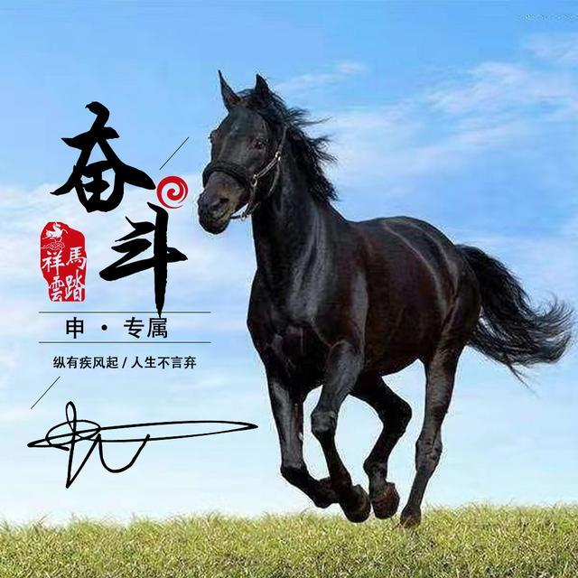 骏马奔腾微信头像20张大气励志款姓氏头像为了梦想奋斗吧