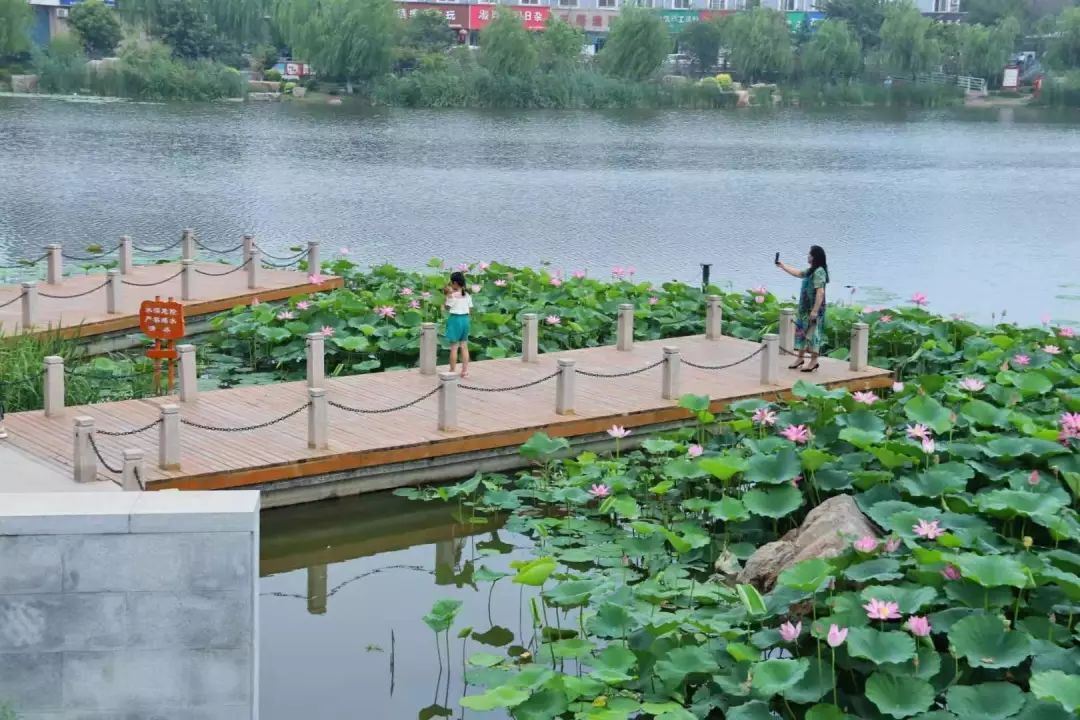 園林景區,公園街景層出不窮,在長垣形成了一道道靚麗的風景線,三善園