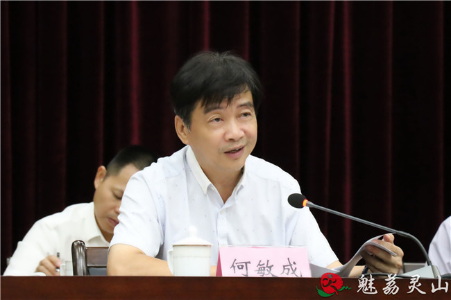 何敏成就如何更好地贯彻落实中央,自治区党委和市委的重要指示和会议