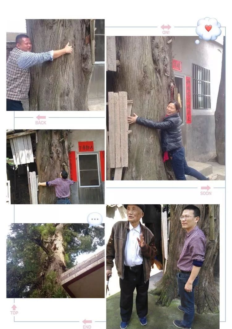 永新文竹千年古村白苎话往事