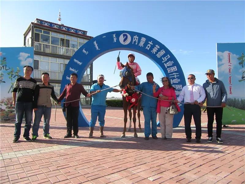 金刚逾辉等四驹问鼎9月15日莱德马业科右中旗速度赛马常规赛