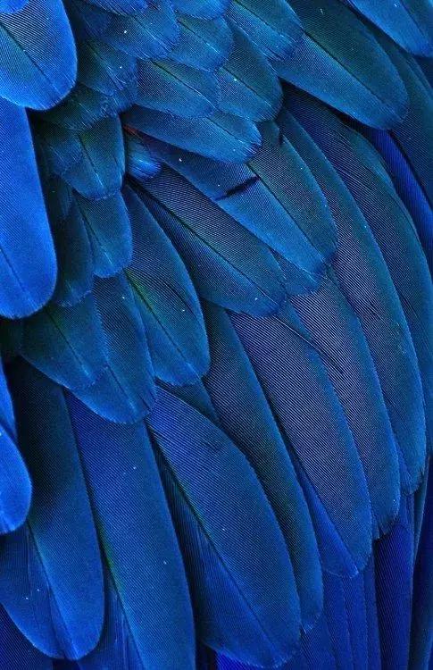 秋冬流行色之银河蓝