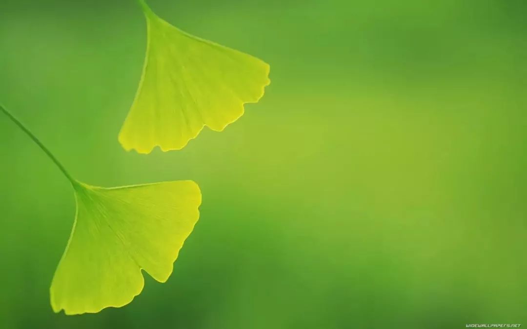 高清微信护眼图,选1张当聊天背景图吧!(附24首养生音乐)