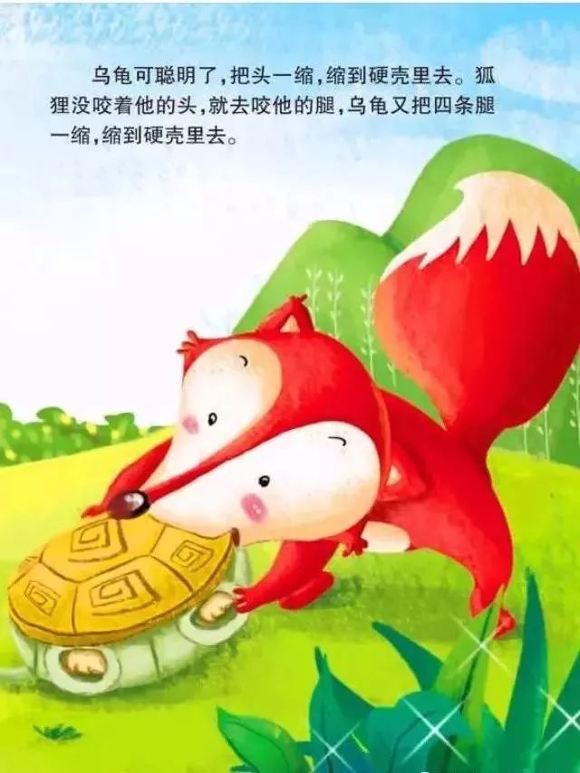 聪明的乌龟连环画图片