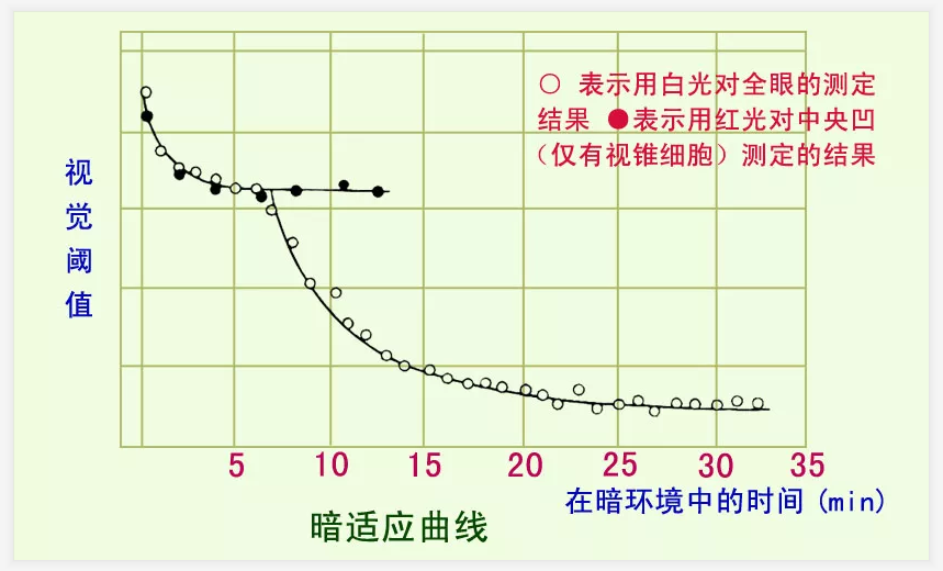 眼的感光奥秘暗适应和明适应