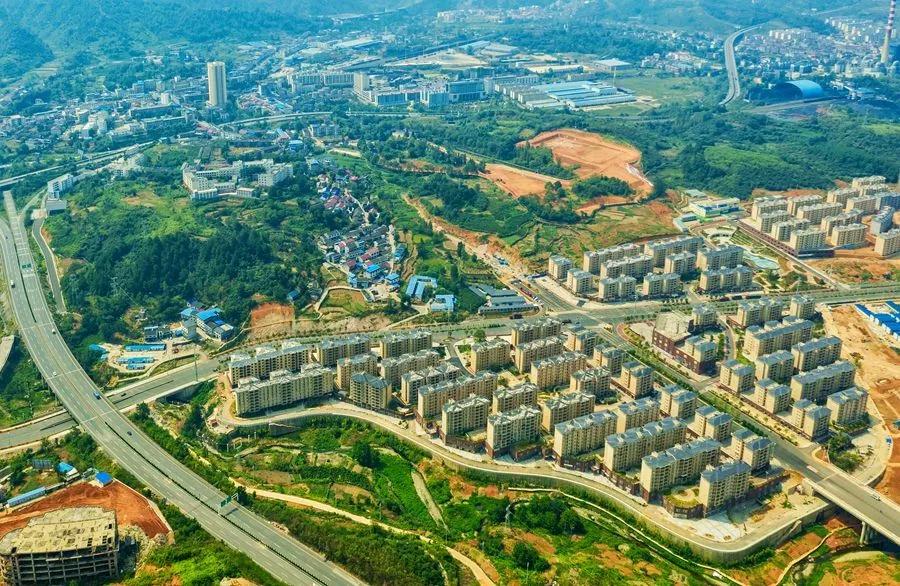 幸福大龙以奋斗为底色新居民抒写精彩故事