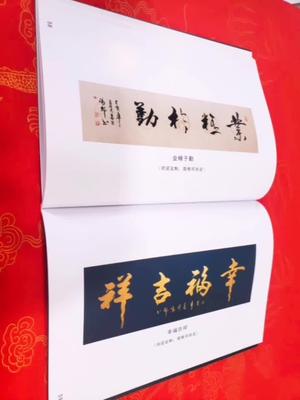 张郎书法作品集收藏了张郎老师百幅书法作品字体风格变化形式多样头版