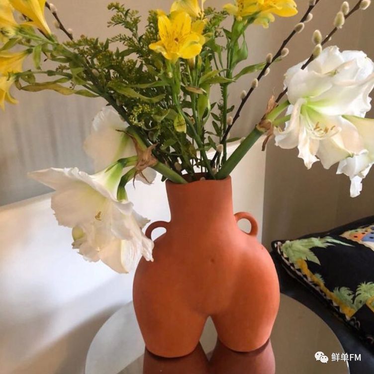 "cheeky vase(厚脸皮的花瓶,放在家里可以打破无聊