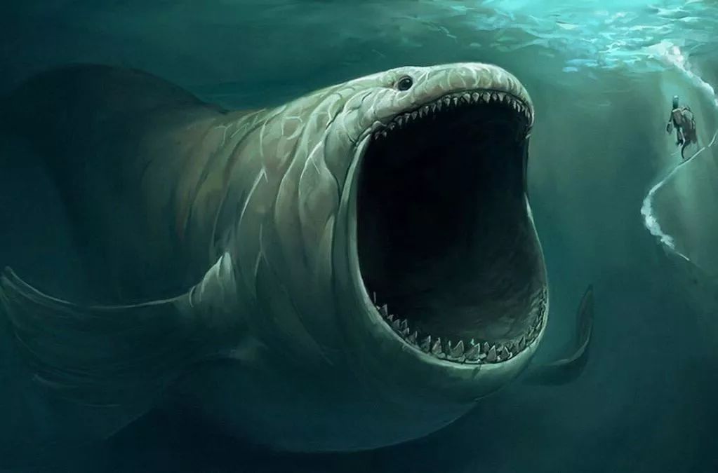 巨物恐惧症图片海洋图片