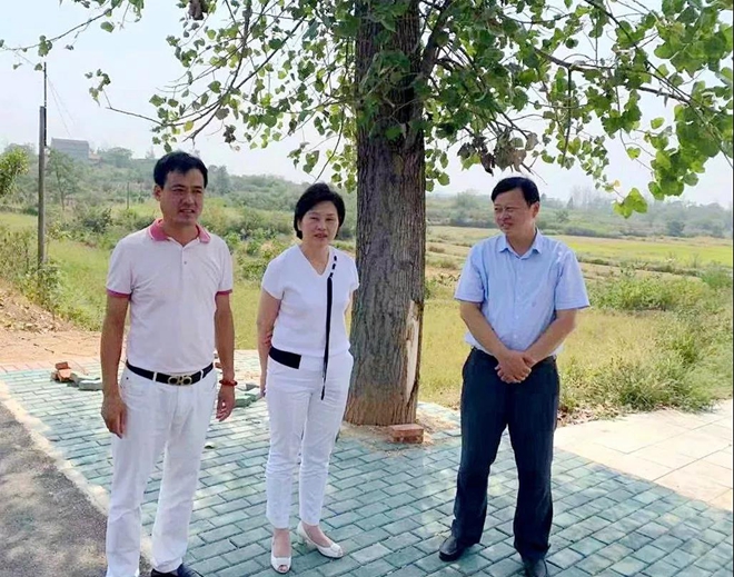 毕道丽到厉山镇双寨村指导美丽乡村建设