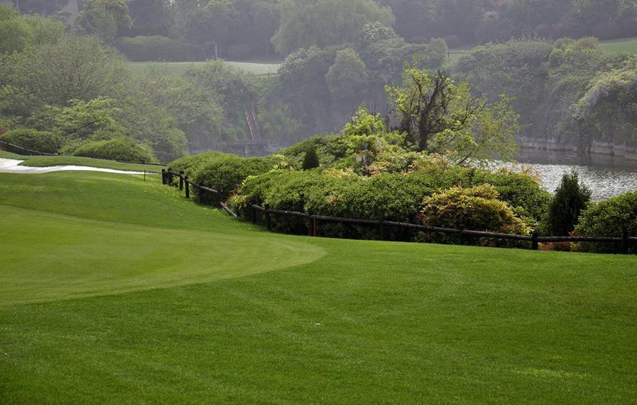 园林植物施肥技术园林绿化肥哪种比较适合在草坪绿篱苗木上使用