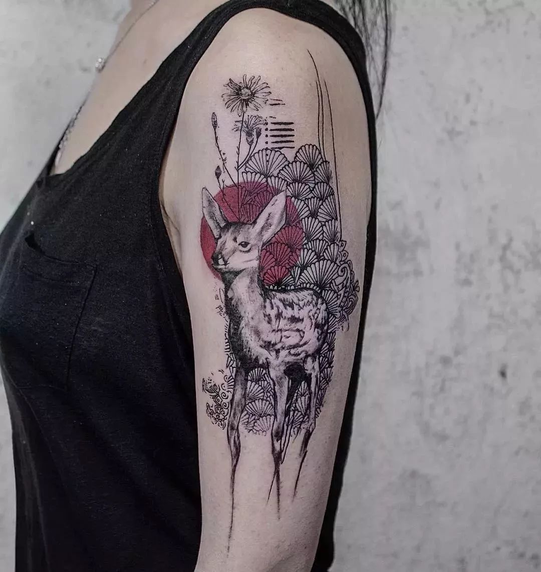 你们老说的小鹿乱撞到底是什么鹿在撞