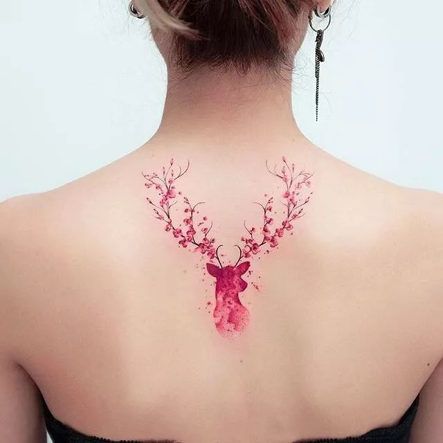 你们老说的小鹿乱撞到底是什么鹿在撞