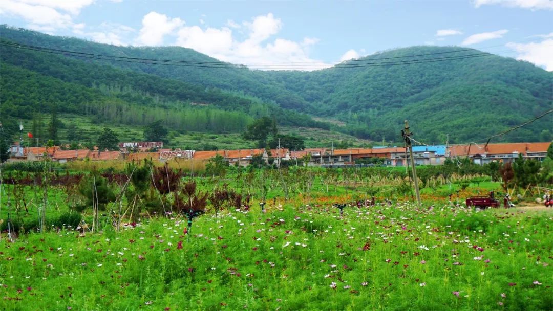 威海这些美丽乡村 把日子过成了诗