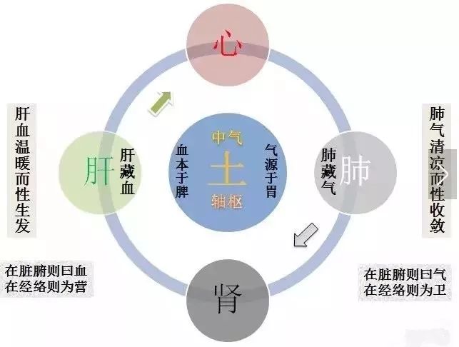 《内经》解证 | 《黄帝内经》气血概念解析_运行