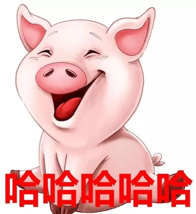 事发祥符区奇葩小偷登上今日说法让观众笑出猪叫附视频