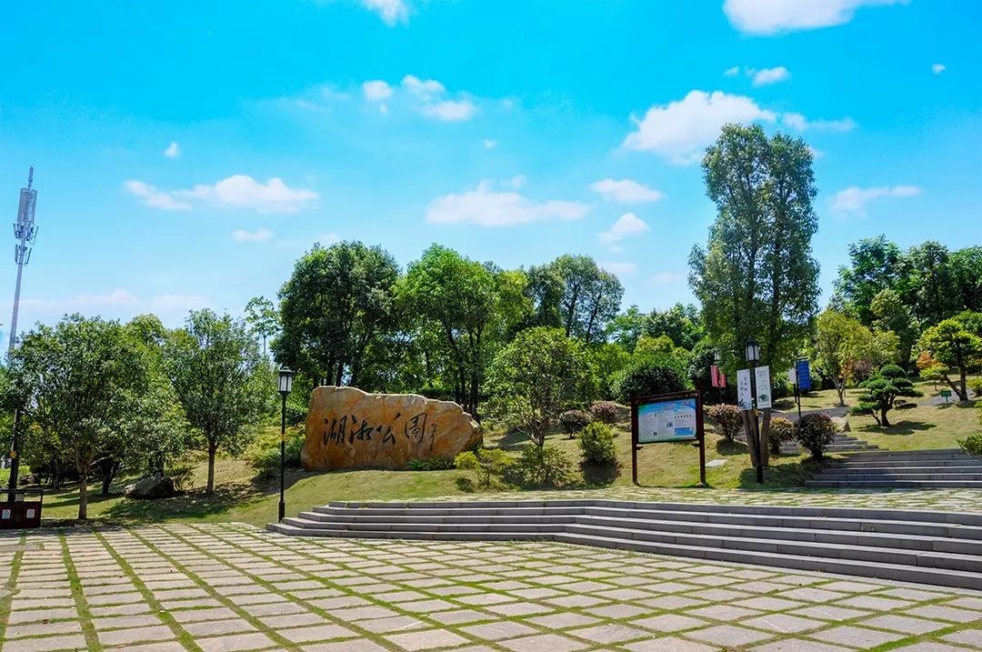 生长在公园旁的金芙蓉国际广场演绎自然生活意趣