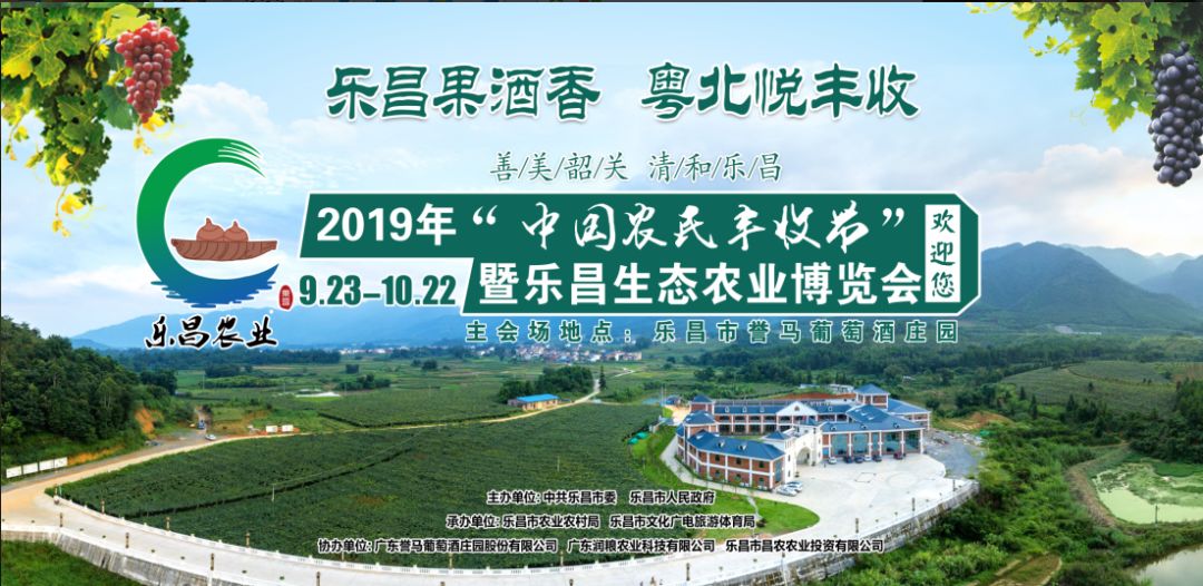 乐昌大型网站建设 来自搜狐网
