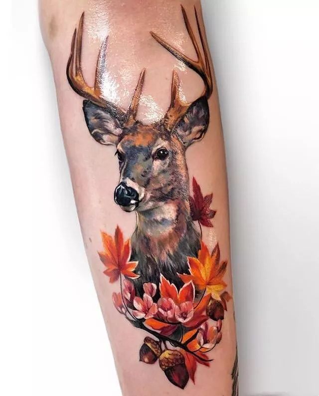 你们老说的小鹿乱撞到底是什么鹿在撞