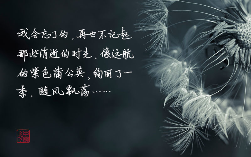 周杰伦说好不哭谁的青春没有一首周杰伦