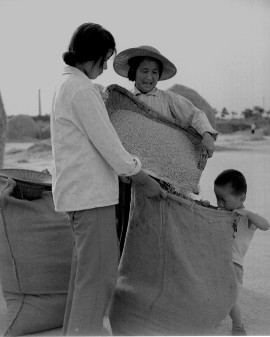 我爱我的祖国:老照片的故事《70年代喜交爱国粮 》_公粮