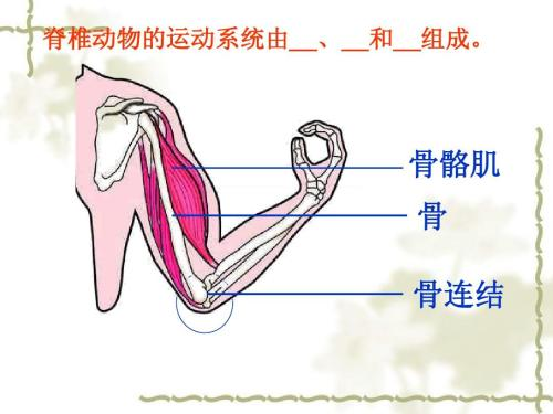 幹細胞到底有多重要醫學家用人體八大系統告訴你