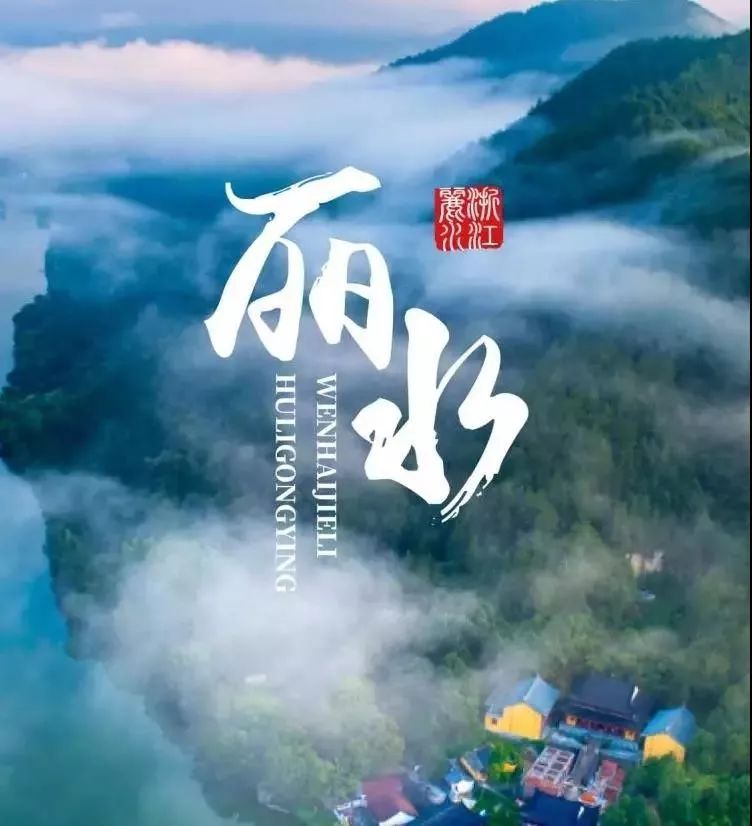 丽水"抢滩"大上海推介好风光好产品_旅游