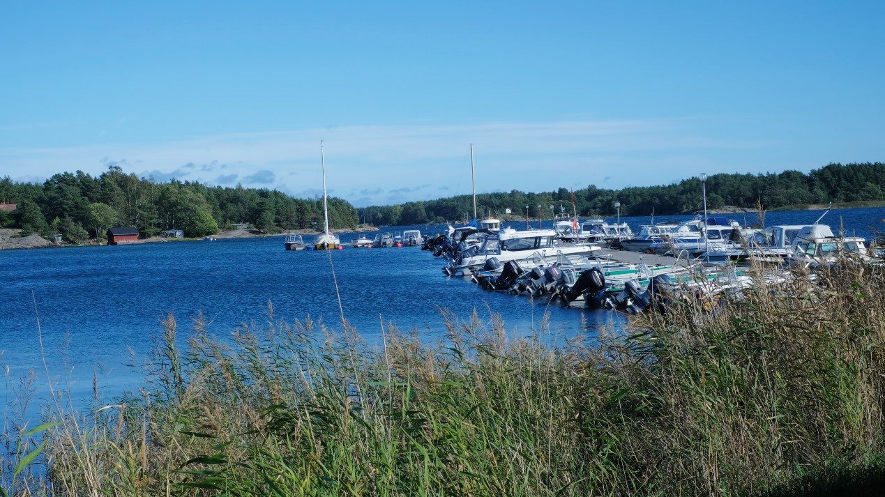 森林岛 来自搜狐网