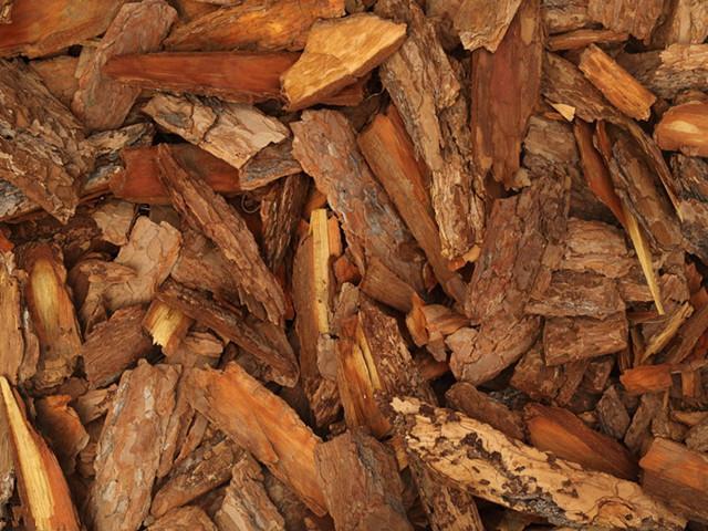 2,须木天然食物中,牡蛎的含锌量最高,每100克牡砺含锌100毫克,因此