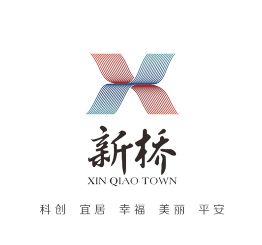 新桥网站建设公司 来自搜狐网