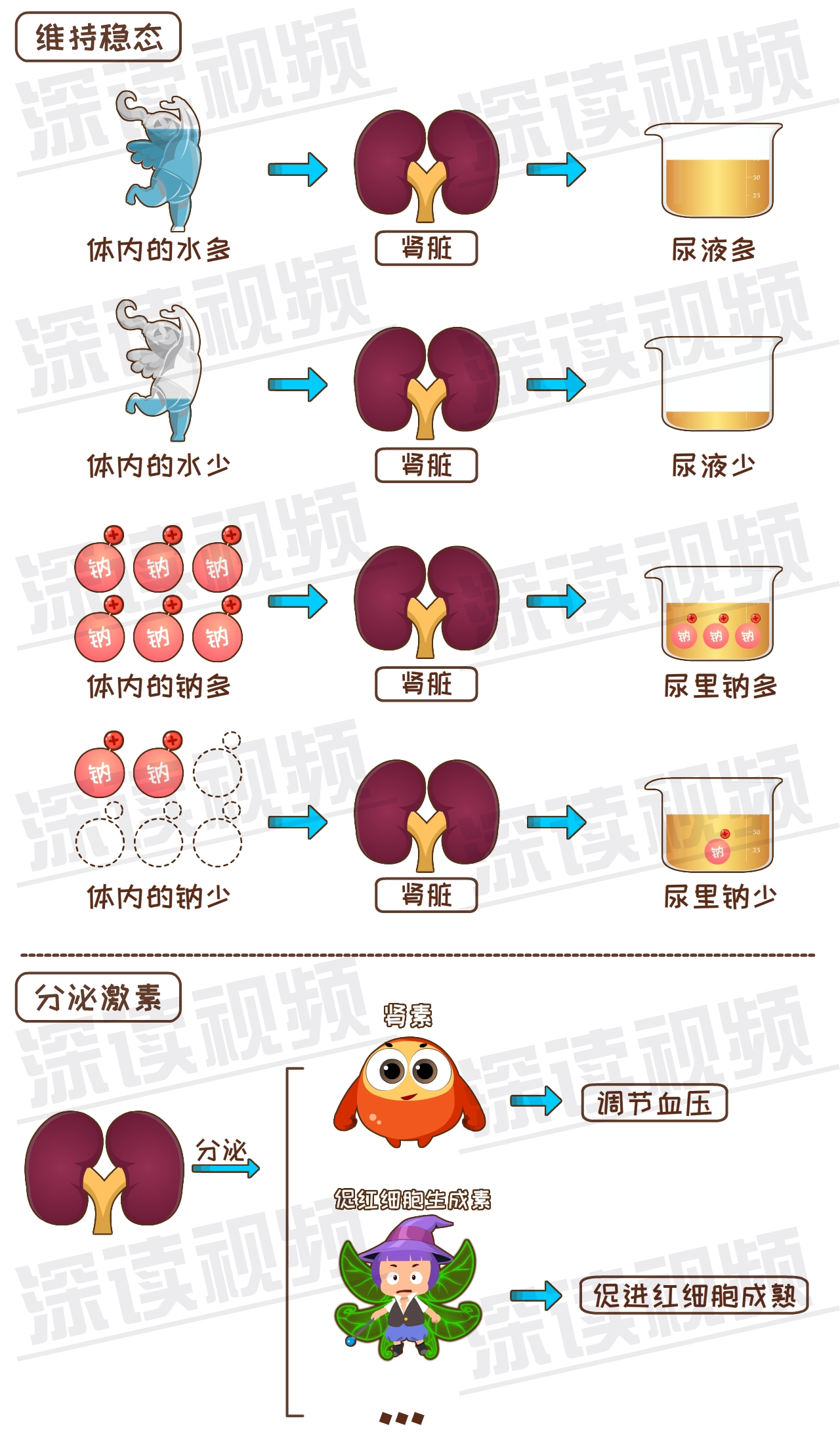 硬核科普好好的肾咋就肾衰了糖尿病不痛不痒竟能搞出肾衰竭