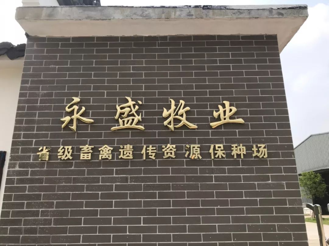 养殖场大门口标语图片