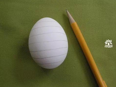 拿铅笔在鸡蛋壳上画辅助线条2.