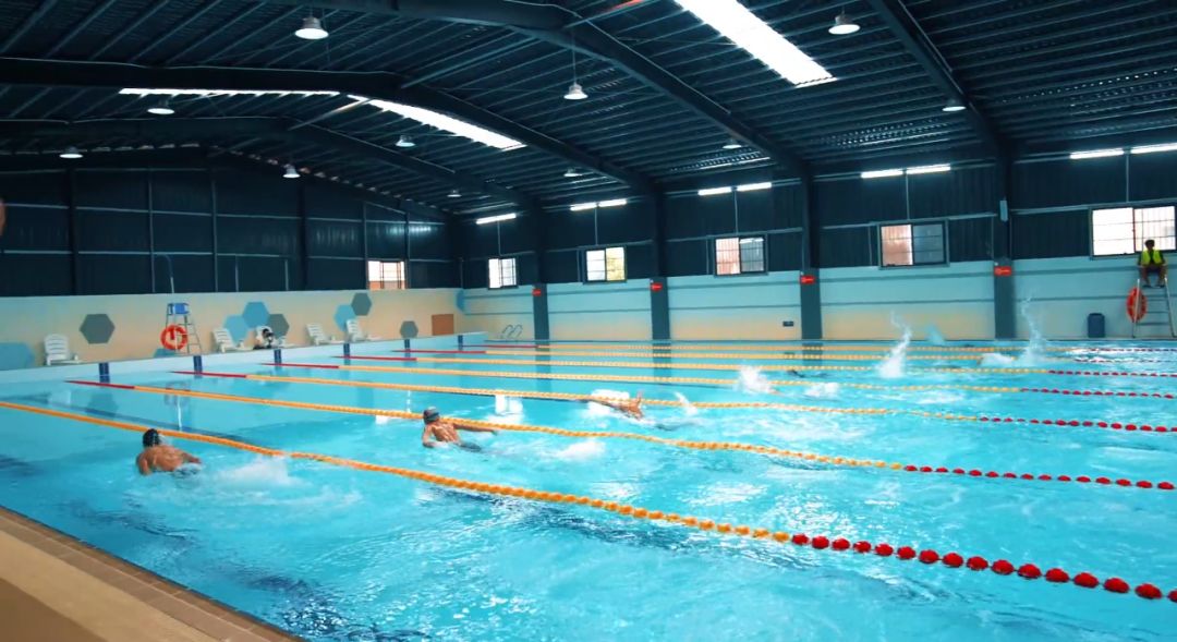 推广想成为专业游泳健将吗康恒体育游泳训练馆了解一下