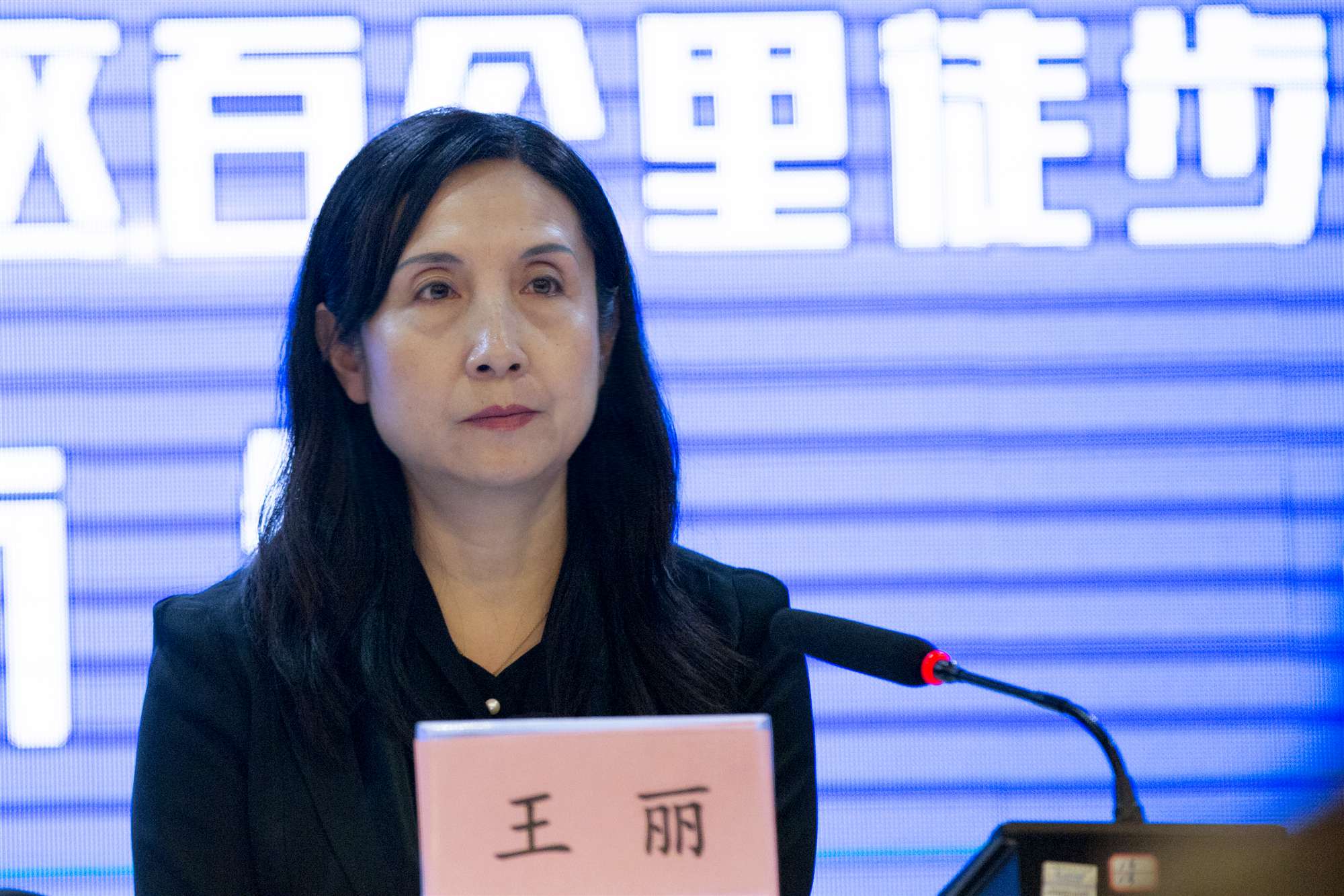 王丽副主任介绍说:今年,兰州在黄河两岸共计组织开展5个方面40大项400