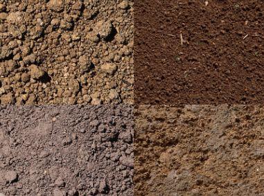 农村菜园子种植蔬菜,土壤越来越结板,应该如何改善,变得松软_有机肥