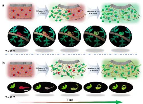 angew类变色龙的高分子水凝胶基软体机器人颜色可控纳米激光器早问世