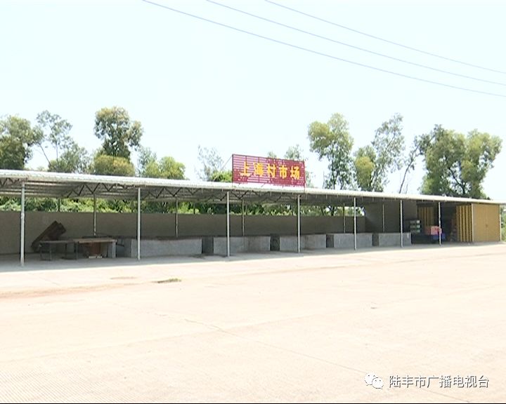 上电视了陆丰上海村焕然一新