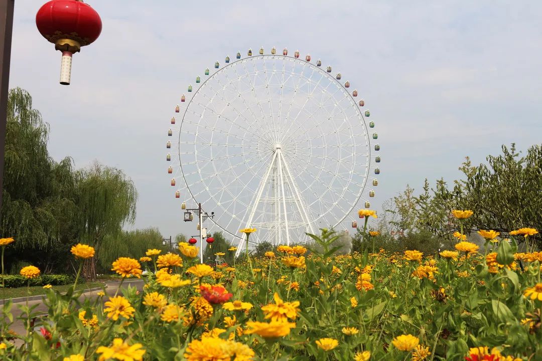 走啊一起去看花記今日份的天頤湖花海