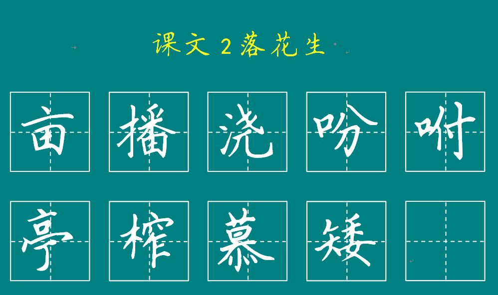 落花生生字图片