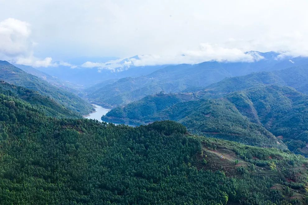 勐库十三先生了解古域品牌从这款茶开始