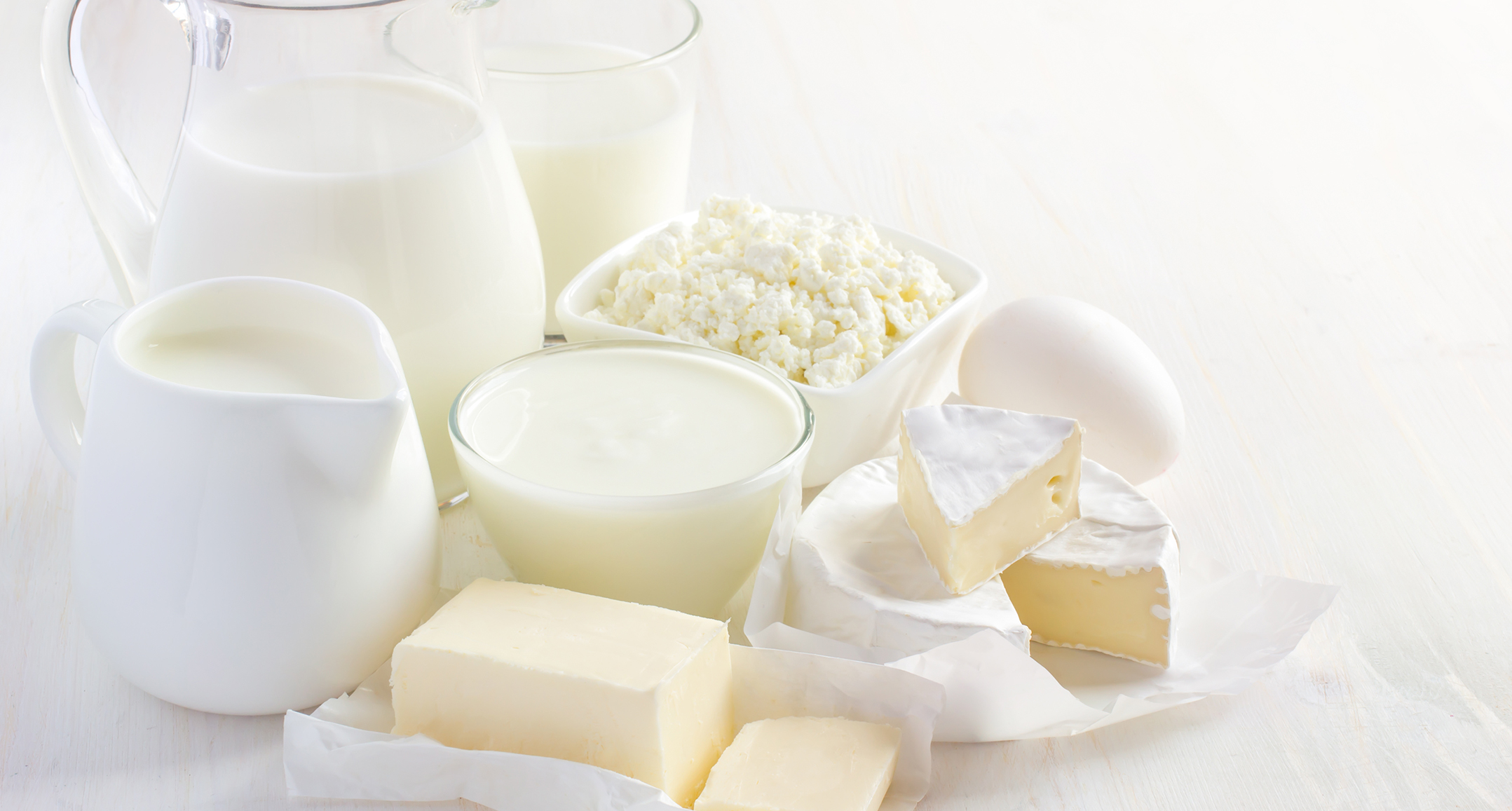 乳制品中常见微生物的种类